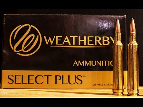 The 240 Weatherby