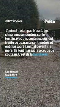 Des chasseurs tuent un cerf sur la terrasse du réalisateur Luc Besson
