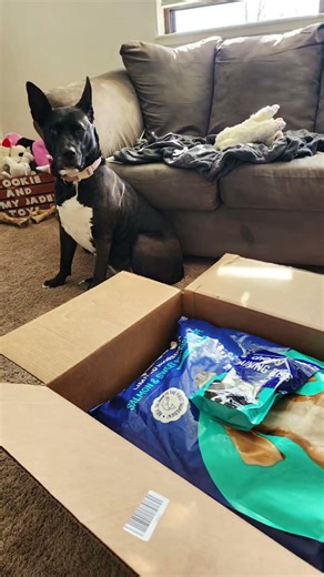 Unboxing my @Chewy stuff today!