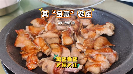 广州江高真宝藏农庄鸡靓鱼靓又便宜又正 五指毛桃焗鸡、五叶神土猪汤、咸柠蒸猪脷、鲫鱼拉肠必点！真心好食，又不贵。