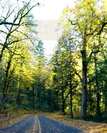 Drive like you’ve got a mug of pumpkin spice in the cup holder! | AAI Insurance Agency