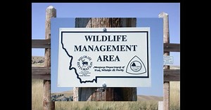 Back From The Brink: Montana’s Wildlife Legacy