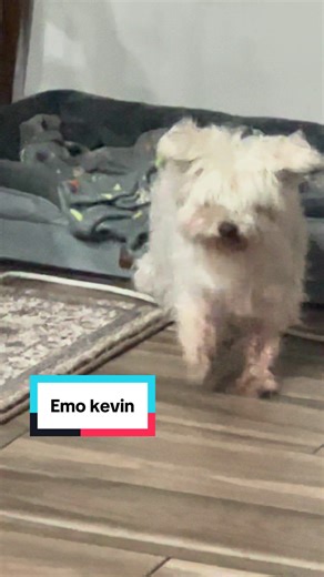 Kevin's Emo Era: A Journey of Love