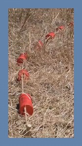 43K views · 492 reactions | This Tech Can Stop Forest Fire!! | Fossbytes | Facebook