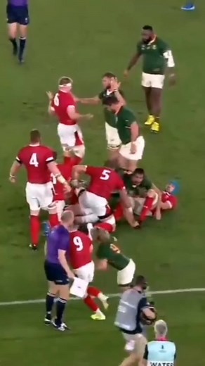 Best Rugby Fights Pt.1 #fyp #viral #rugby #ShowYourGreatness