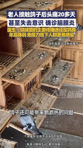 1月22日（报道），老人接触鸽子后头痛20多天，严重到失去意识，到杭州查了3天确诊是隐球菌感染的脑膜炎！#大象主播说 主持人夏冰
