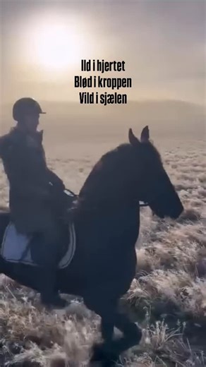 Pernille C Lotus / Beyond Breath on Instagram: "Fire Horse Year ❤️‍🔥 Blød i kroppen. Vild i sjælen. Jeg træder ind i dette år med ild i hjertet, ikke som kamp, men som sandhed. En mærkbar, levende ild der minder mig om, hvem jeg er, når jeg ikke holder igen, og heller ikke presser frem. Jeg lytter til kroppen, til dens rytme og visdom. Lader mit tempo være mit eget, lader hjertet vise vejen. Fire Horse-energien kalder mig hjem til bevægelse, frihed og dyb forankring. Jeg rider ikke for a