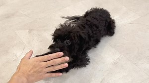 Max, resource aggression work. Doing some stress test and...