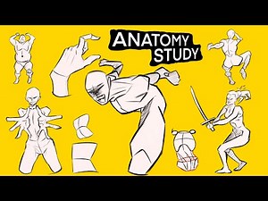 Easy Anatomy Drawing For Beginners || Anatomy Study || DigitalArt || Anatomy Practice