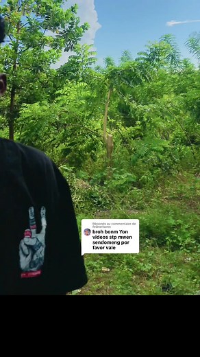 Réponse à @fednerlsonn #repansel @Negro Flow