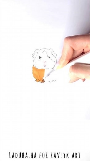 🐹💖 Guinea Pig Drawing 🚀▶️ Adorable Small Pet Tutorial ✏️ #shorts #drawing #RavlykArt