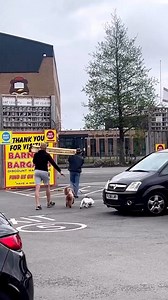 18K views · 131 reactions | Don’t forget—we deliver too!  Shop DIY essentials at @barneysbargains!  #DeliveryService #DIY #BarneysBargains #HomeProjects #FastDelivery #ShopSmart #BargainDeals | Barneys Bargains | Facebook