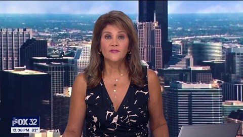 Secret Service under fire from Congress after 2nd Trump assassination attempt