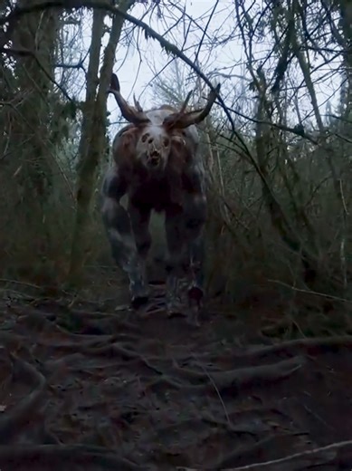 Wendigo #nightmarefuel #horror #scary #cryptid #wendigo | Wendigo