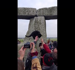 Bastet the Egyptian cat god visited Stonehenge at the winter solstice 2025