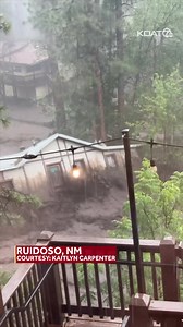 474K views · 5.3K reactions | Video obtained by ABC News shows...