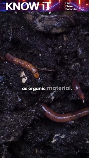 How does Excessive or Frequent Plowing release stored Carbon back into the Atmosphere?