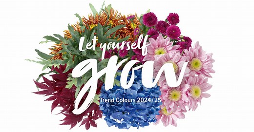 Trend Colours