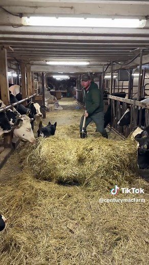 #farmer #fitness #farmlife