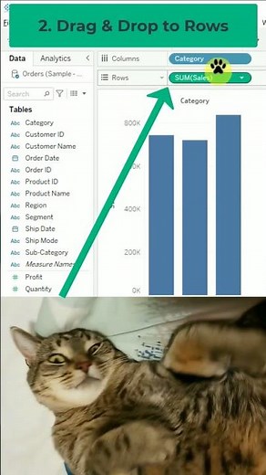 Quickly add color to your bar chart in Tableau Desktop! #tableau #data #analytics #cat