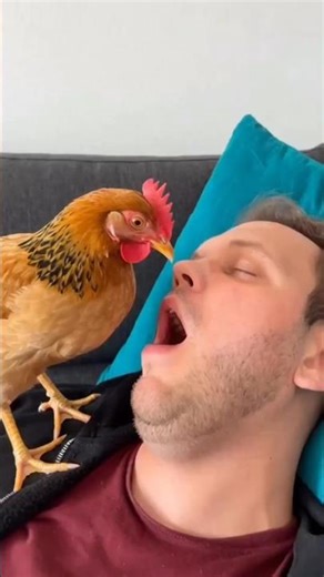 Fun 😅😁 #shrots