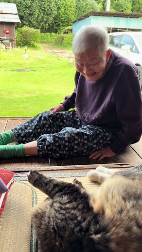 敬老の日の猫とおばあちゃんの素敵な瞬間