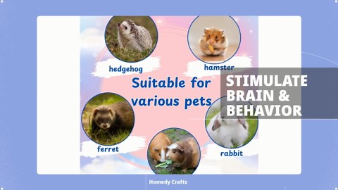 Foraging Mat for Hedgehog Enrichment Toys, Hedgehog Toys for Cage, Interactive Feeding Toy for Small Pet, Rabbit Foraging Mat, Hedgehogs Accessories, Guinea Pig Toy (Green, 17.7x9.8in)