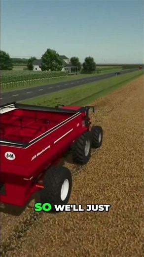 100 Acre Wheat Field: Our Farm's Cash Crop Strategy #shorts