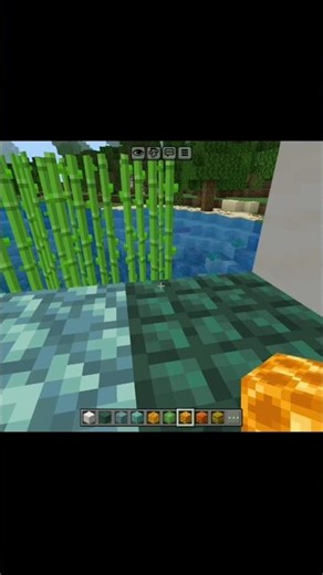 MINECRAFT CRAZY ART 🔥
