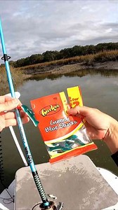 The cheapest redfish bait that actually works in saltwater fishing