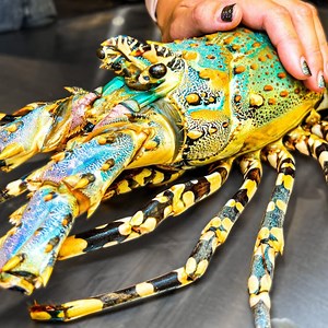 15M views · 277K reactions | Extreme Thai Meats! Bangkok’s Late Night Street Food!   | Best Ever Food Review Show | Facebook