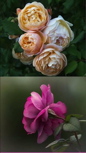 Spring Photo Workshop