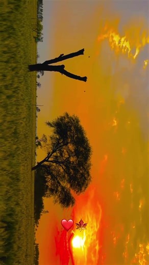 Best love song and nature vibs #lovetale #lovelove #subscribe #love #impossiblerelationships