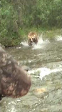 STAY AT THE TOP OF THE FOOD CHAIN! Backcountry Defense Ammunition