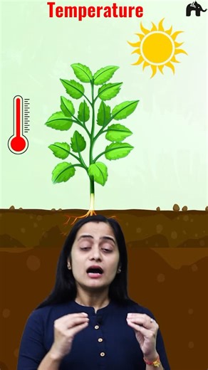 @learnohub_official on Instagram: "Temperature and plants... how are they related? Learn from our oneshot video ... [LEARNOHUB, ONE SHOT, ROSHNI MA'AM, LEARNOHUB1112, BIOLOGY, CBSE VIDEOS, CBSE, SHORTS, CBSE 2026 BOARD, BOARD2026]"