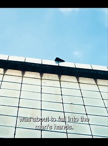 177K views · 632 reactions | The pool | MOVIE TIME | Facebook