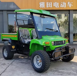 [Hot Item] Best Price off Road Buggy Electric UTV for Farm
