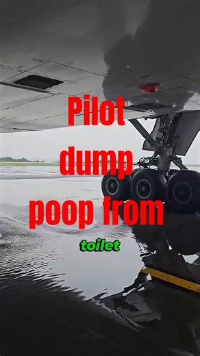 why do pilots dump poop from plane #airplane #aviation #travel #flying