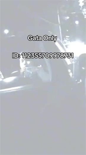 Mas códigos para perros en Roblox