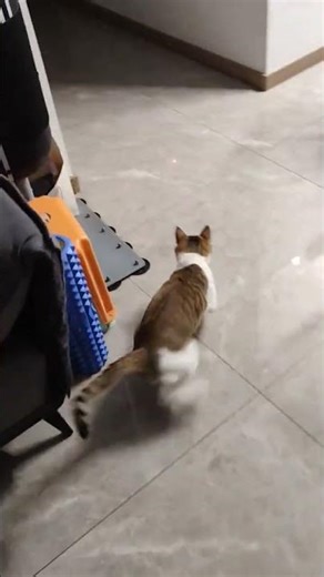 Master the Art of Rear-Wheel Drive Drifting in Indoor Tracks