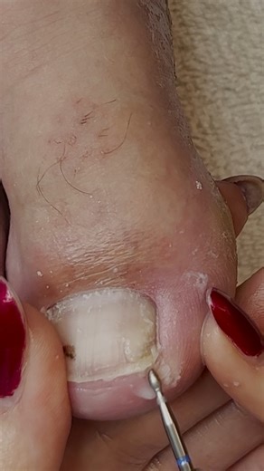 The Meticulous Manicurist Nail Tutorials on Reels