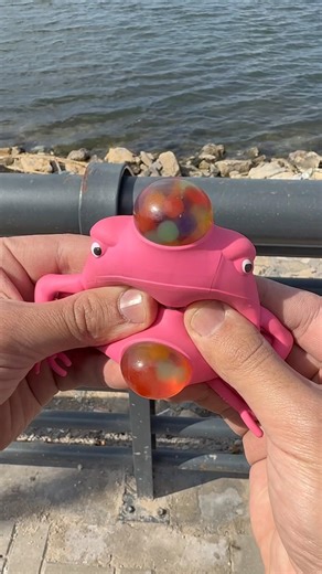 What's inside a rubber frog? 🐸🤔