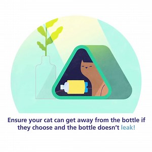 2.6K views | Cats Protection on Reels | Facebook