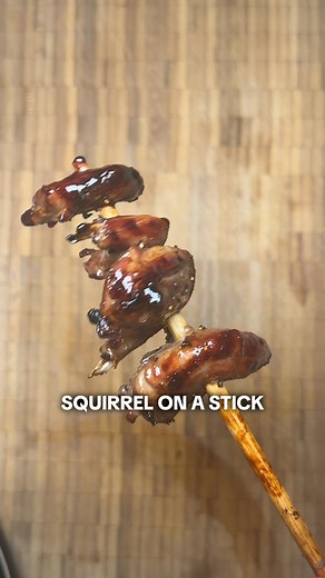 Squirrel on a Stick | Fallout 4 | Big Nibbles