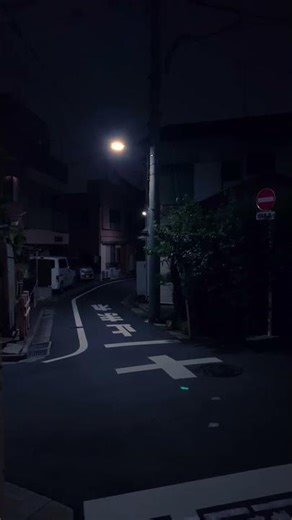 🇯🇵 Japan travel #shorts #walk #散歩