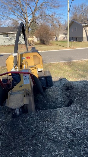 29K views · 137 reactions |  Stump Day  #stumpgrinding #treeservice #humpdaywednesday #stumpremoval #TotalControl | Total Control Tree Service | Facebook
