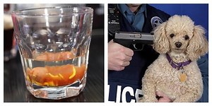 82K views · 233 reactions | Well, we shoot gorillas, might as well shoot dogs too. | Foodbeast | Facebook