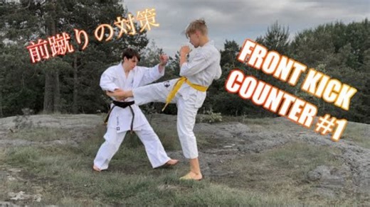 The Best Front Kick Counter Technique