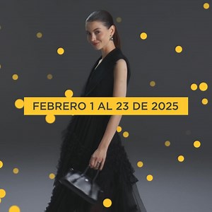 Tu Tarjeta Palacio está contigo. Disfrútala y obtén hasta 12 mensualidades sin intereses. | El Palacio de Hierro