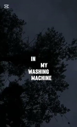 washing machine heart